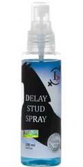 Спрей-пролонгатор Love Stim Delay Stud Spray - картинка 1