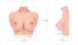 Мастурбатор-груди Kokos Bouncing Titties C cup, Телесный - зображення 3