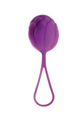 Вагінальний кулька MAI No.65 KEGEL BALL PINK, Фіолетовий - картинка 1