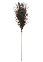 Перо Павича Peacock Tickler Taboom - картинка 1
