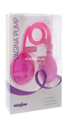 Помпа для вагіни PREMIUM RANGE VAGINA PUMP - картинка 2