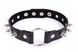 Нашийник з шипами Collar black with metal spikes - зображення 1