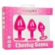 Набір анальних пробок Cheeky Gems 3 розміру, рожеві - зображення 3