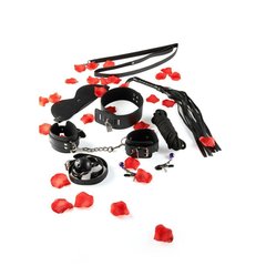 Бондажный набор БДСМ Toy Joy BDSM Starter Kit - картинка 1