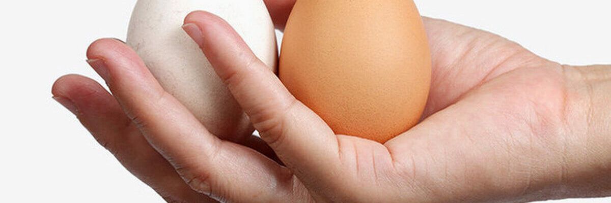 Як робити самообстеження яєчок