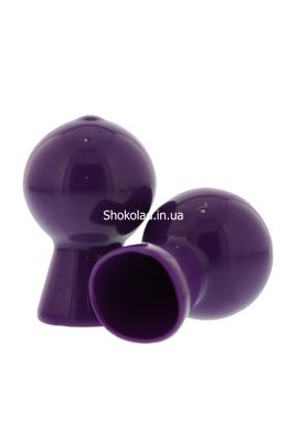 Вакуумні стимулятори для сосків NMC NIPPLE SUCKER PAIR IN SHINY PURPLE - картинка 1