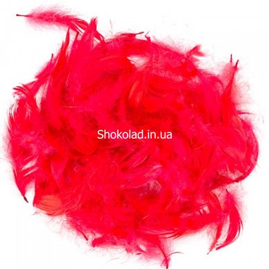 Декоративне пір'я Obsessive "Take me to bed!" bed feathers - Red - картинка 4
