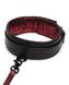 Поводок Fifty Shades of Grey Sweet Anticipation Reversible Faux Leather Collar and Lead - изображение 2