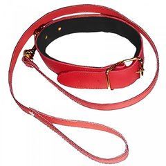 Ошейник с поводком DS Fetish Collar with leash red - картинка 1