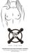 Зажимы на соски Bad Kitty Nipple Jewellery bla - изображение 7