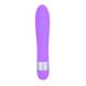 Ch86121 вібратор Precious Passion Vibrator-Purple Chisa - зображення 1