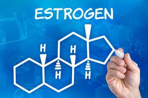 Роль естрогену у вашому організмі