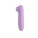 Вакуумний вібратор Chisa Irresistible Touch Purple - зображення 1