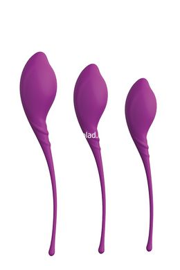 Шарики вагинальные PLEASURE BALLS & EGGS KEGEL EXERCISE SET - картинка 1