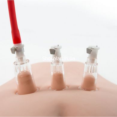 Вакуумная помпа для вагины и сосков BlushTEMPTASIA CLITORIS PLEASURE SYSTEM - картинка 4