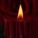 Низкотемпературная восковая свеча «Пылающий шип« UPKO - изображение 2