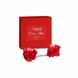 Набор аксессуаров подвязки, наручники, пэстисы Happily Ever After - RED LABELr Bijoux Indiscrets - изображение 2
