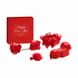 Набор аксессуаров подвязки, наручники, пэстисы Happily Ever After - RED LABELr Bijoux Indiscrets - изображение 1