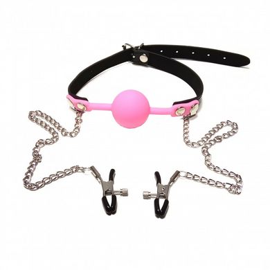 Кляп с зажимами на соски DS Fetish Locking gag with nipple clamps black/pink - картинка 1