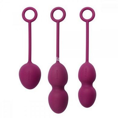 Набор вагинальных шариков Nova Ball — Svakom, фиолетовые - картинка 1