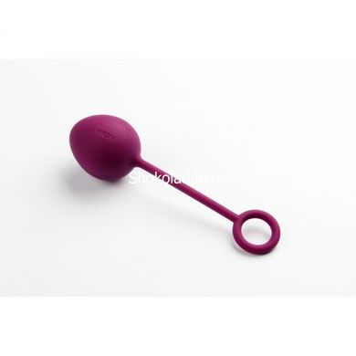Набор вагинальных шариков Nova Ball — Svakom, фиолетовые - картинка 4
