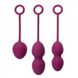 Набор вагинальных шариков Nova Ball — Svakom, фиолетовые - изображение 1
