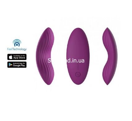 Вібратор з трусиками і функцією управління смартфоном Svakom Edeny Violet, Фіолетовий - картинка 2