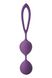 Вагінальні кульки Dream Toys FLIRTS Purple - зображення 4