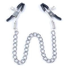 Затискачі на соски DS Fetish Nipple clamps iron L silver 64 g - картинка 1