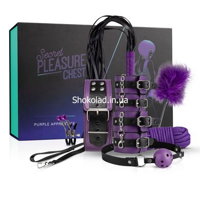 LBX403 Набор БДСМ Secret Pleasure Chest - Purple Apprentice - картинка 1